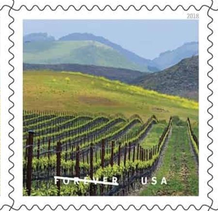100 Vineyard Forever Stamps Blue Green Field Landscape Wine Grape Vineyard Unused Forever Postage Stamps for Mailing
